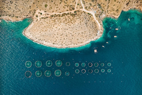 aerial photo of the coast with offshore round pens for fish