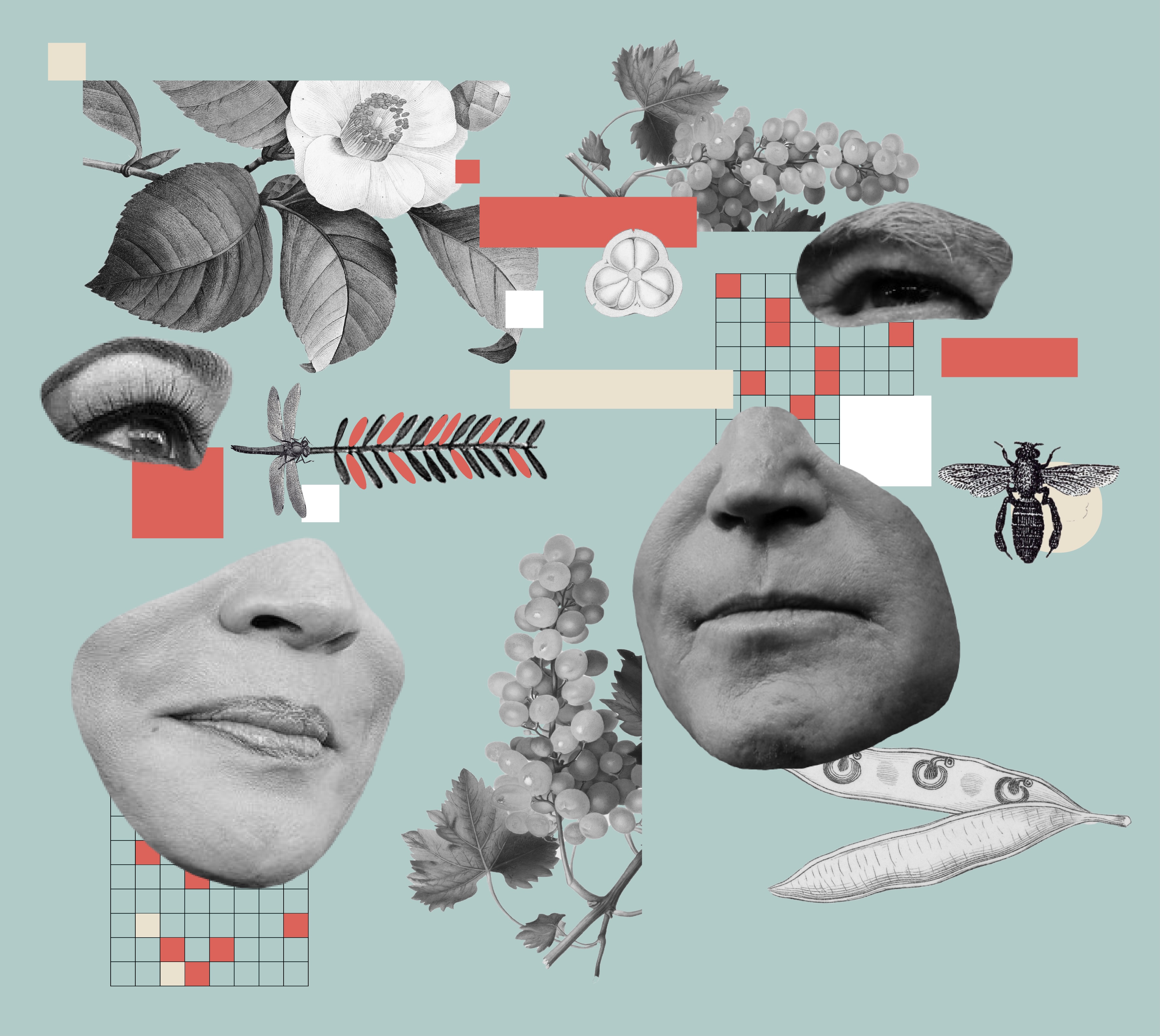 an artistic collage showing insects, plants, and the mouths of joe biden and kamala harris against a light blue background