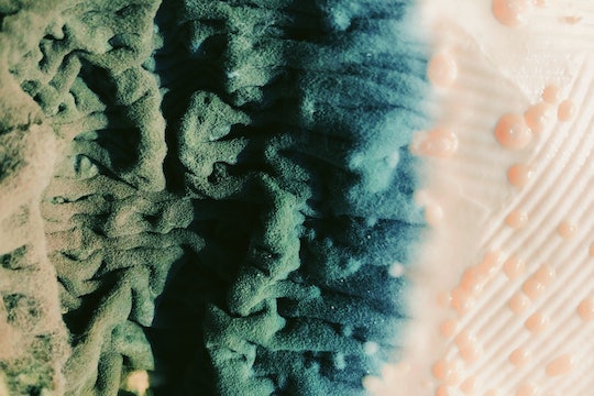 a "landscape" of green and blue folds and tan bubbles