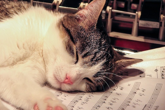 A cat sleeping on a music sheet.