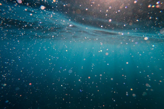 underwater photo of specks in blue water