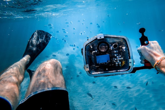 A person holding an underwater camera pointed at some fish