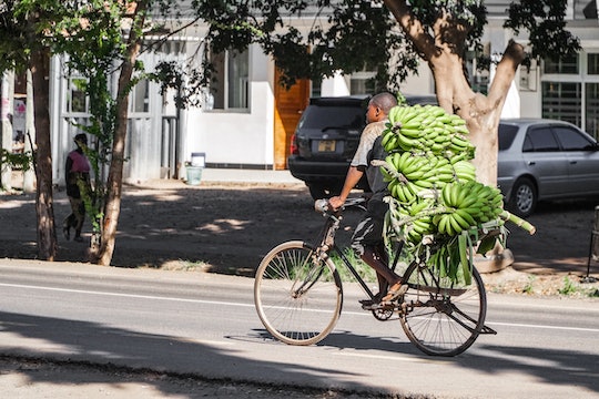 man on bicycle with bunch of bananas