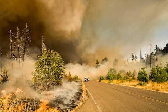 A car drives through a wild fire during the Jones Fire in Oregon.