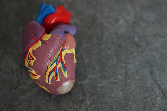 model heart against a gray background