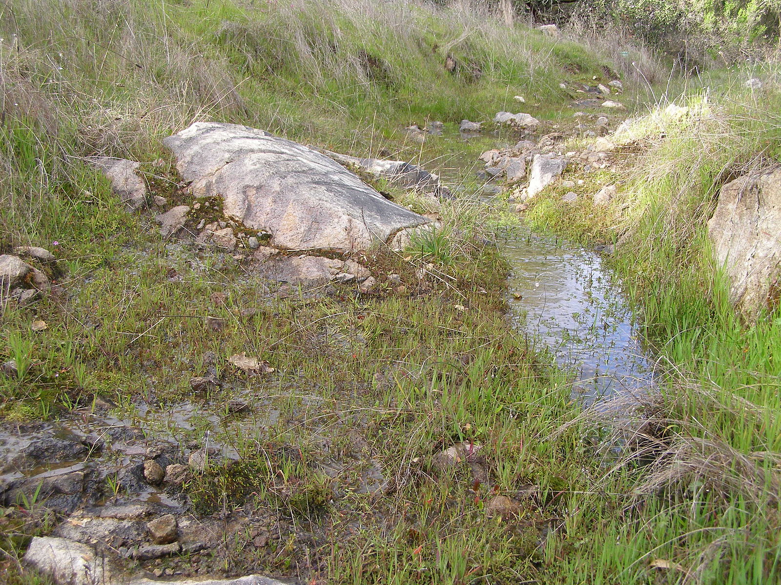 Surface runoff from a hillside after soil is saturated with water