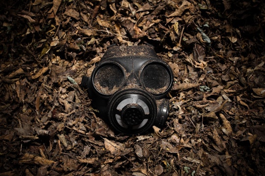 a gas mask staring at the camera and sitting in a pile of leaves