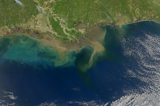 The Gulf of Mexico from space, showing sediment running into the ocean and different colors of water