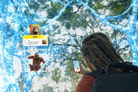 person playing a game on their phone surrounded by holographic trees and an orangutan
